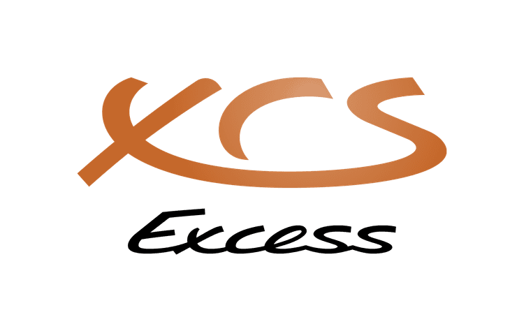 Excess logo Excess brand logo image